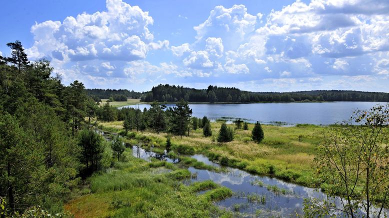 Eine Reise durch Niederösterreichs Naturparke - Von wilden Tieren, Mooren und Ruinen