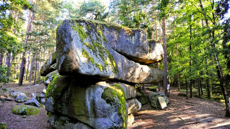 Eine Reise durch Niederösterreichs Naturparke - Von wilden Tieren, Mooren und Ruinen