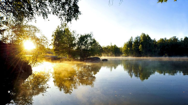 Eine Reise durch Niederösterreichs Naturparke - Von wilden Tieren, Mooren und Ruinen