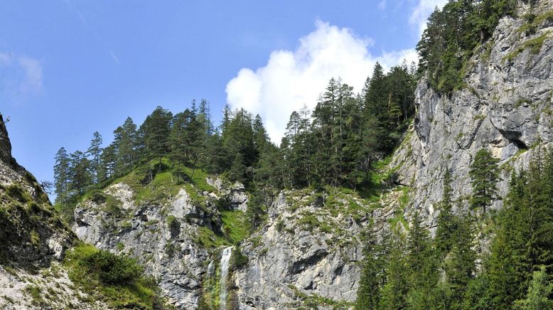 Eine Reise durch Niederösterreichs Naturparke - Von wilden Tieren, Mooren und Ruinen