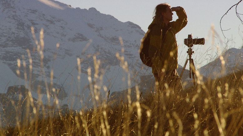 Im Bann des Lichts - Die Wiederentdeckung der Fotografie