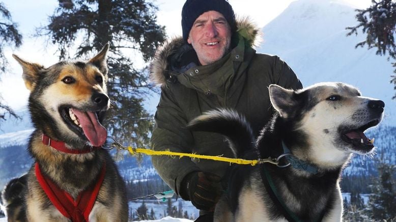 Schlittenhunde im Yukon - Faszination Wildnis