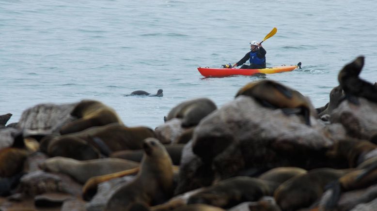 Deadly 60 - Die gefährlichsten Tiere der Welt