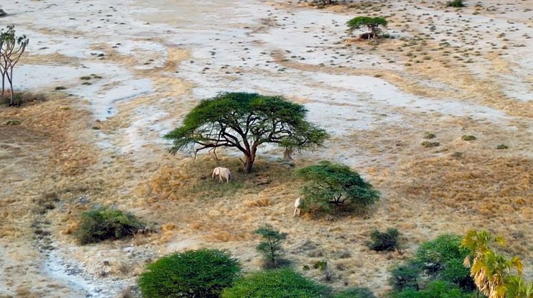 Kenia - Land der Kontraste