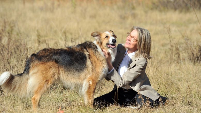 Darling Companion - Ein Hund fürs Leben