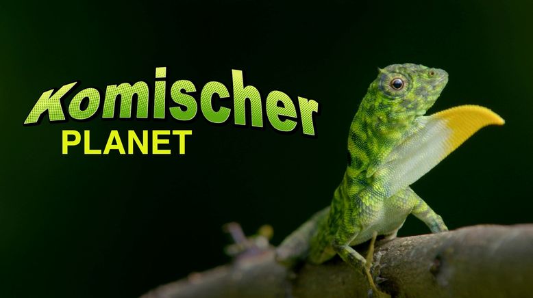 Komischer Planet