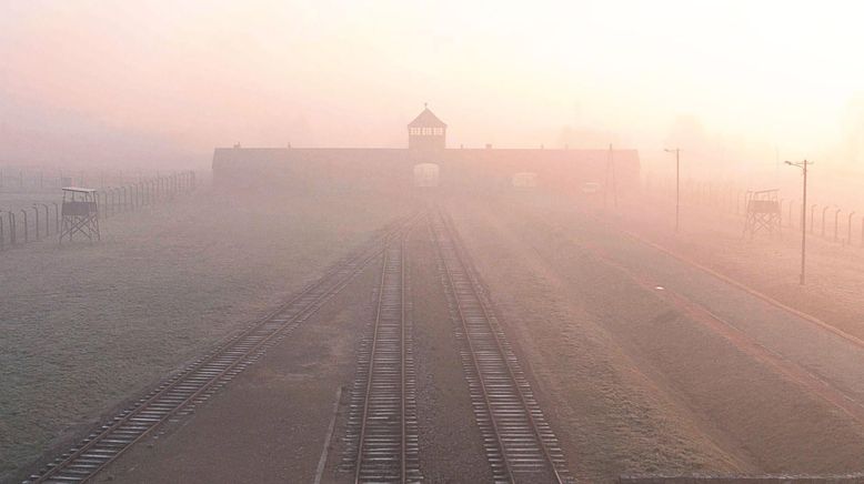 Der Schatten des Kommandanten