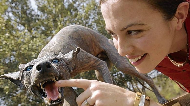 Wildtiere in der Kamerafalle