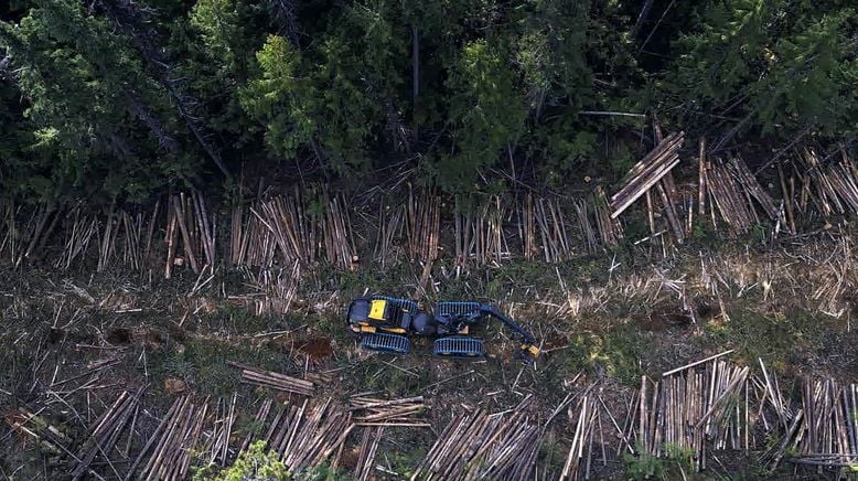 Timber Titans - Kanadas härteste Holzfäller