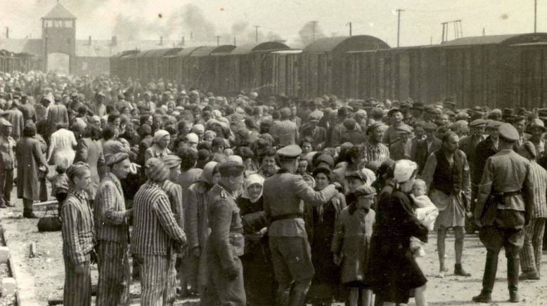 Ein Tag in Auschwitz