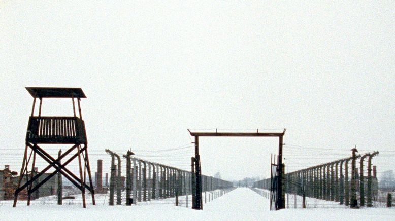 Auschwitz vor Gericht