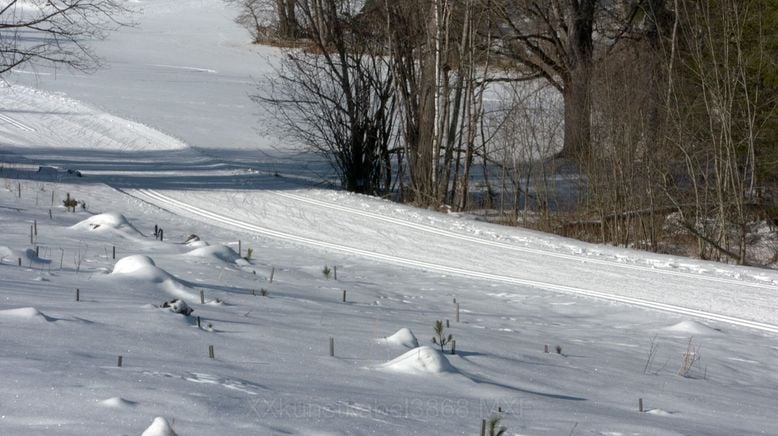 Rund um Schladming