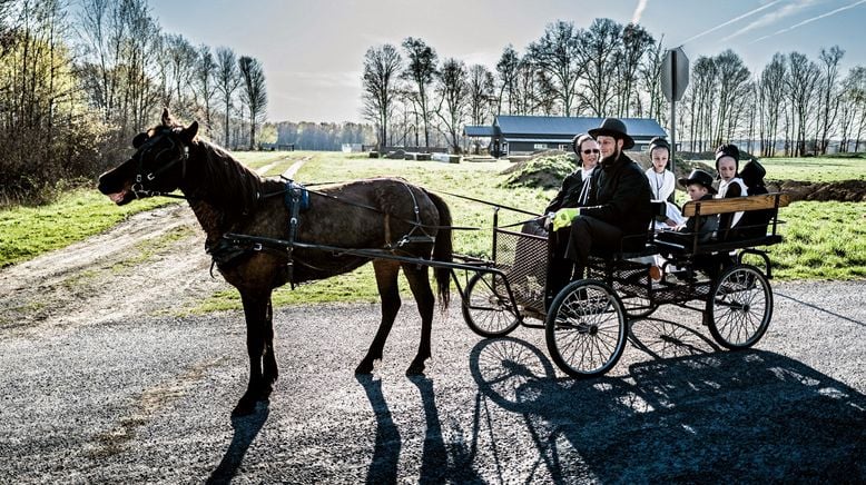 Das Leben der Amish