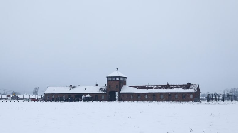 Auschwitz - Countdown zur Befreiung