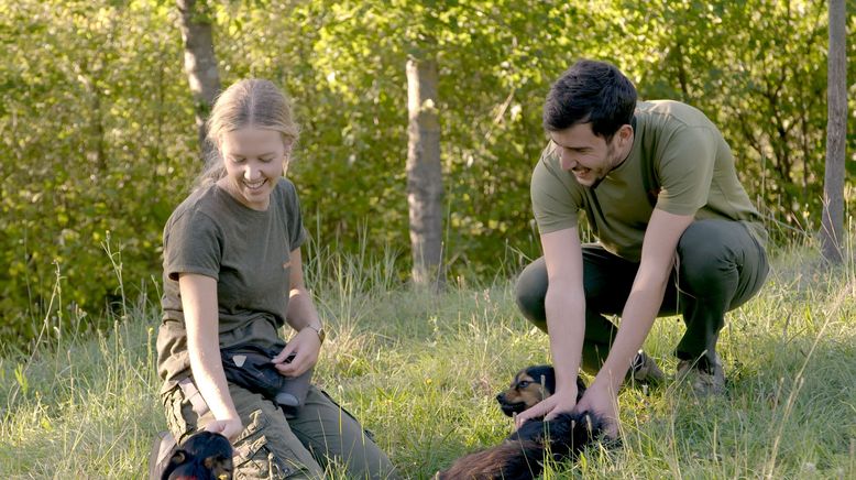 Kroatien, das Paradies der Trüffeljäger