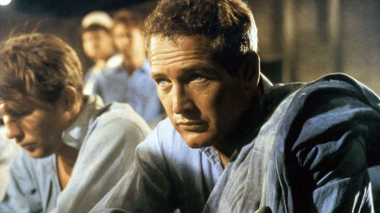 Paul Newman - Der unwiderstehliche Typ