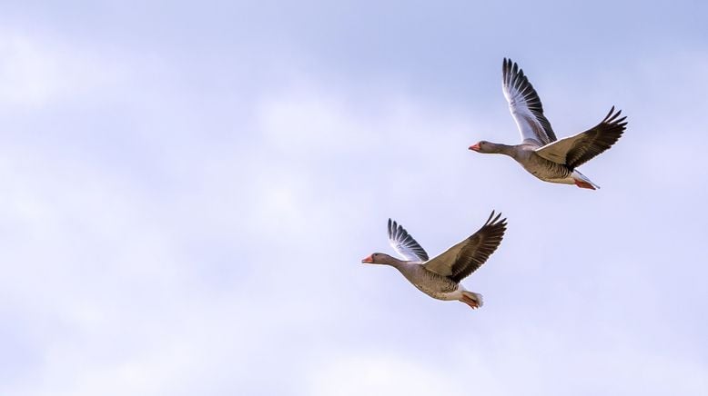 Von der Quelle bis zur Weser