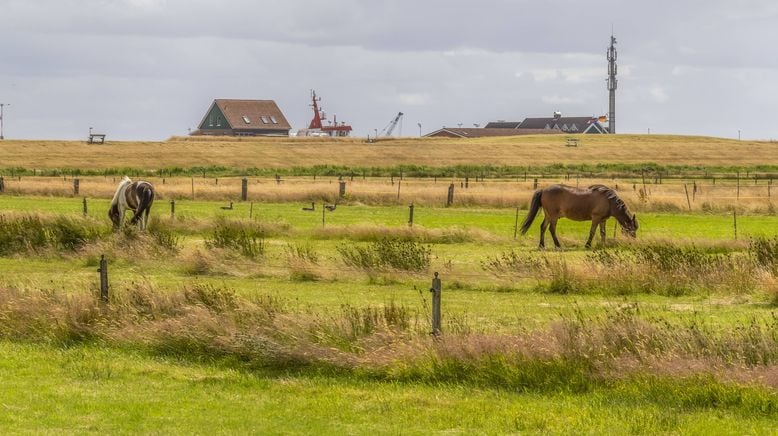 Durchstarten auf Spiekeroog