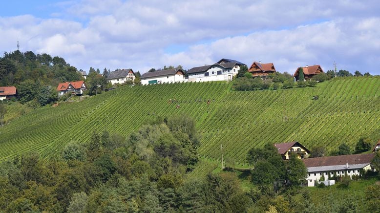 Südsteirische Weinstraße