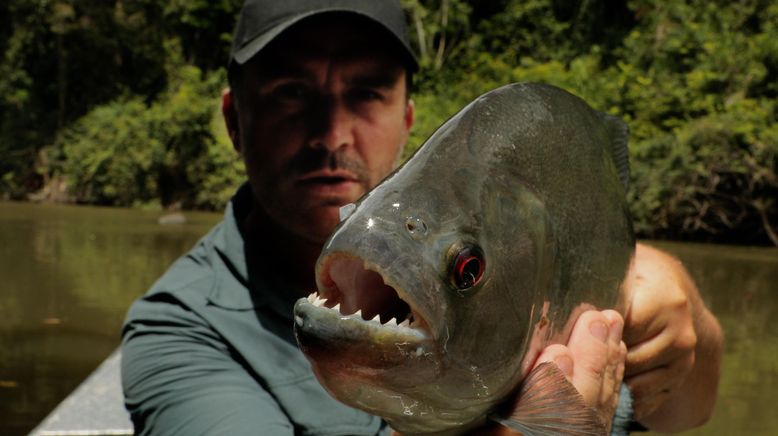 Chasing Monsters - Monsterfischen auf der Spur