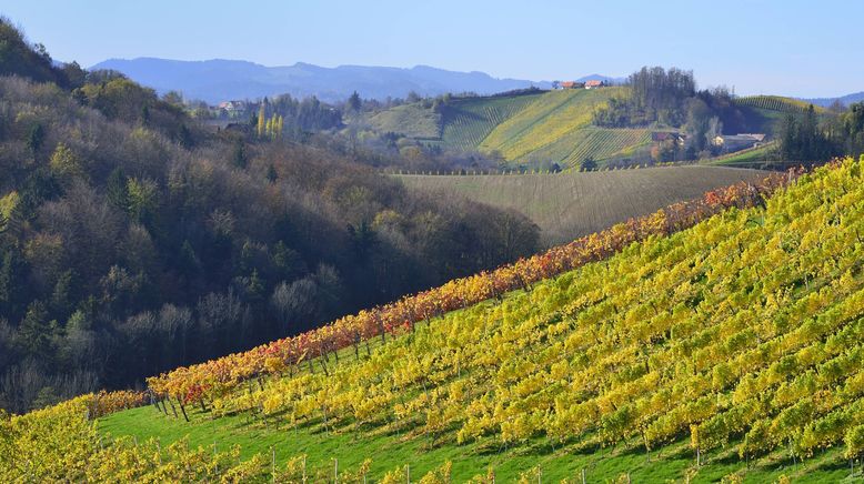 Südsteirische Weinstraße