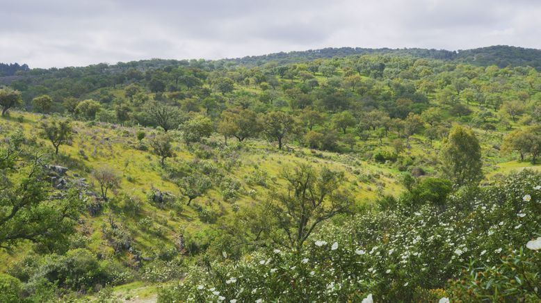 Portugal - wild und ungezähmt