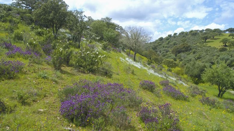 Portugal - wild und ungezähmt