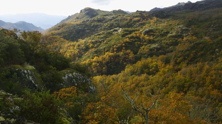 Portugal - wild und ungezähmt