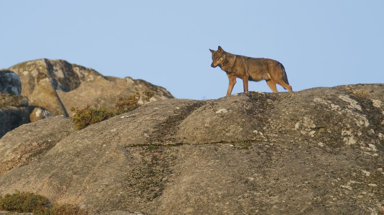 Portugal - wild und ungezähmt