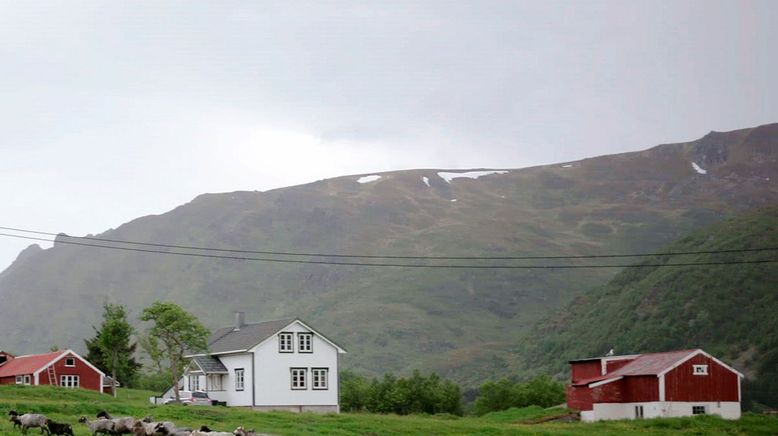 Ein Jahr auf den Lofoten