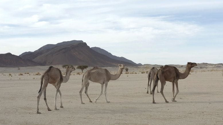 Magischer Maghreb