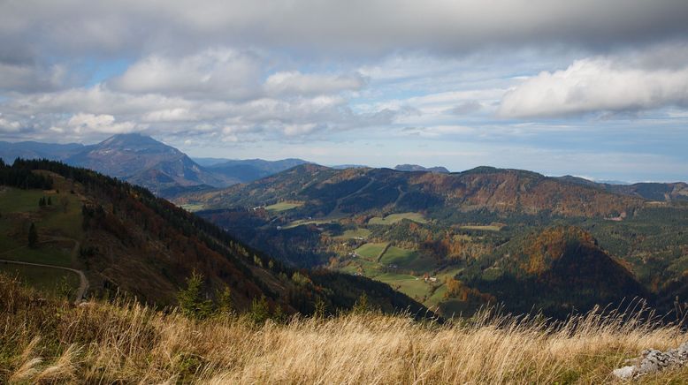 Klingendes Österreich