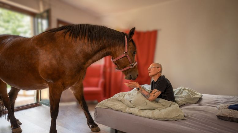 Ein Hof zum Leben und Sterben