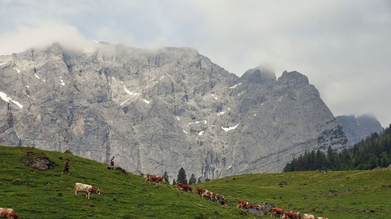 Die Fugger im Silberreich