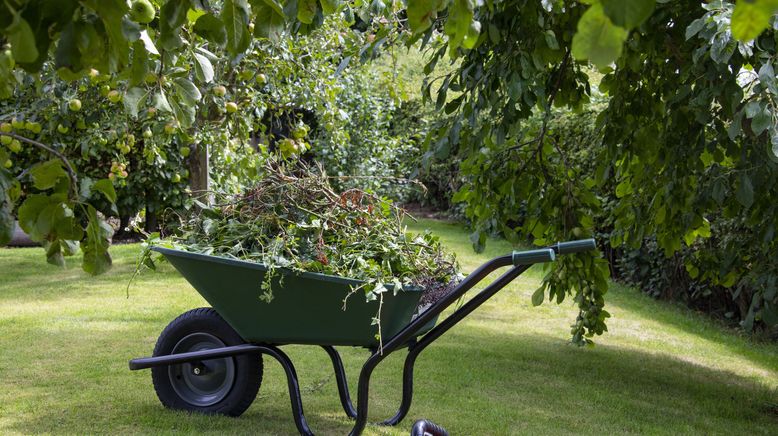 rbb Gartenzeit