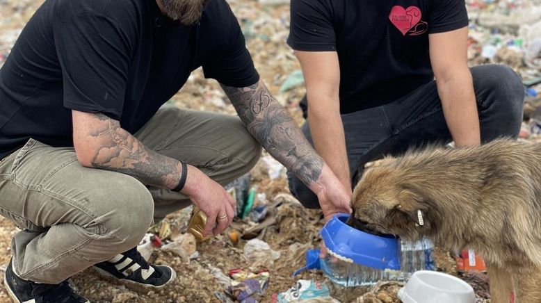 Straßenhund sucht Zuhause - André Vogt hilft