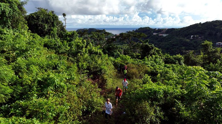 Grenada - Karibikinsel mit stürmischer Geschichte