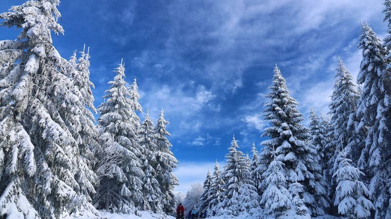 Alpine de luxe - Skisport nur für Reiche?