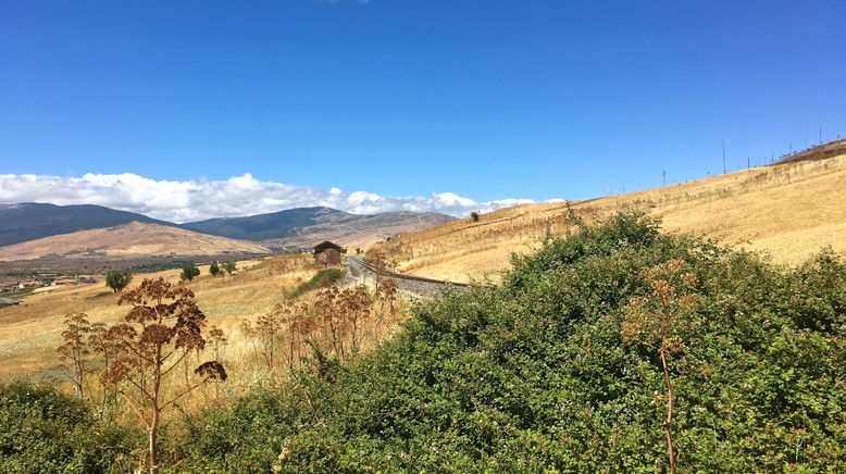 Wo die Zitronen blüh'n - Eine süßsaure Reise von den Alpen bis Sizilien