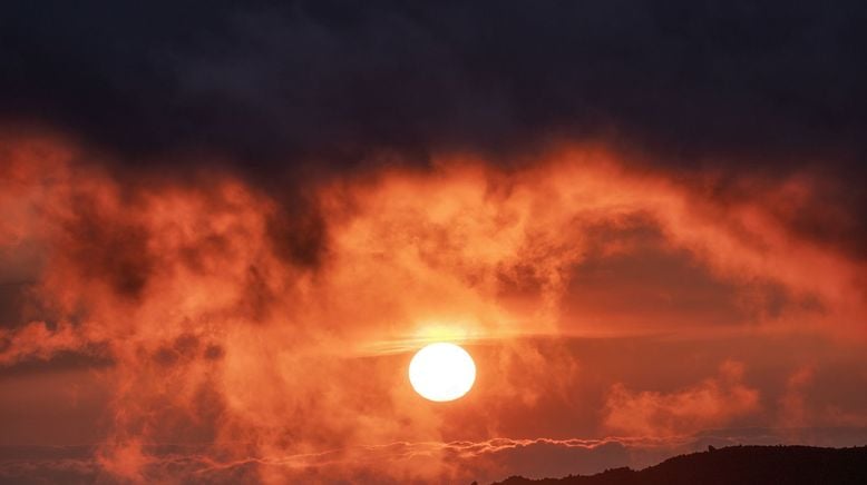 Glücksfall Sonne - Leben aus Licht und Energie