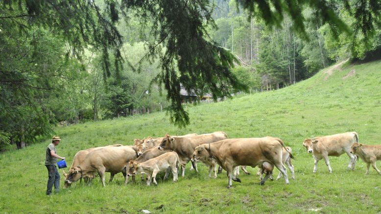 Österreichs Bergdörfer