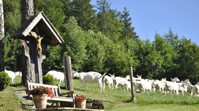 Österreichs Bergdörfer