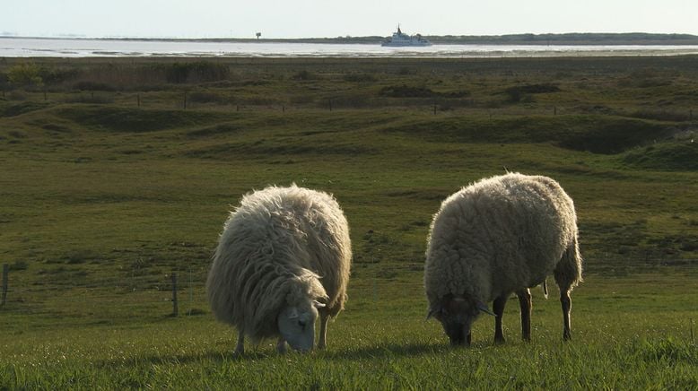 Strände Europas