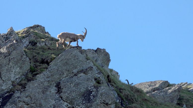 Die Schönheit der Alpen (1/3)