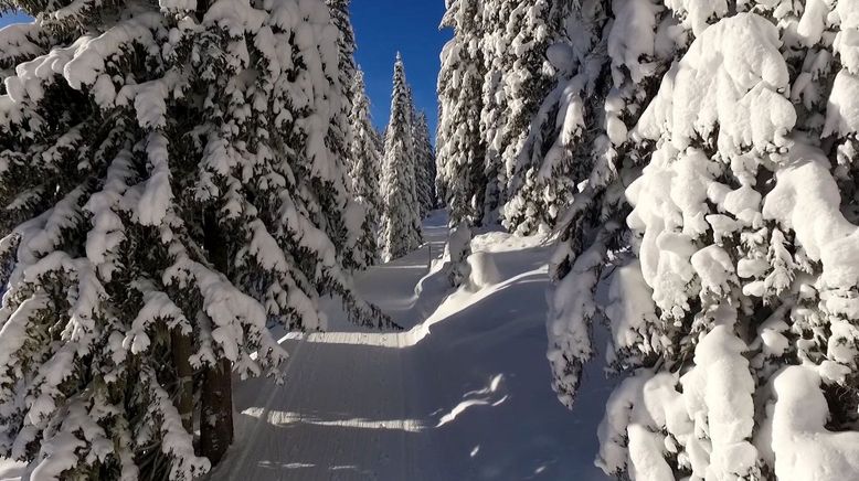 Die Schönheit der Alpen (1/3)