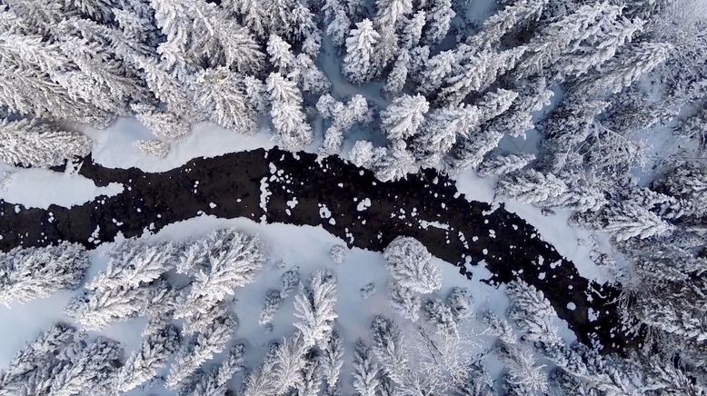 Die Schönheit der Alpen (1/3)