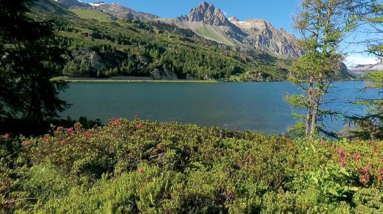 Vom Appenzell ins Tessin - Die vollendete Seite der Schweiz