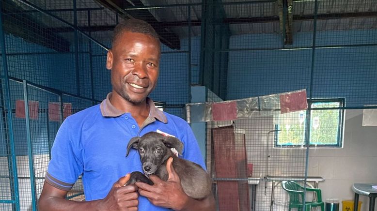 Uganda: Hunde der Hoffnung