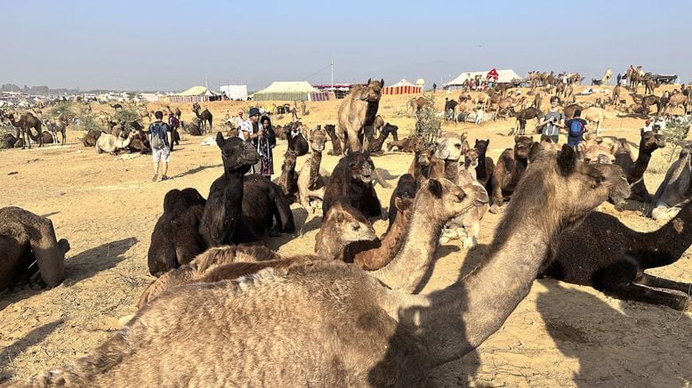 Indien - Kommt auf die Bucket List