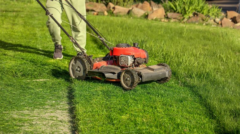 Duell der Gartenprofis - Mein grünes Paradies